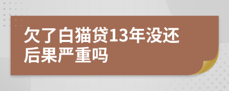 欠了白猫贷13年没还后果严重吗