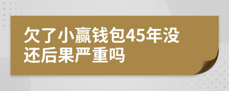 欠了小赢钱包45年没还后果严重吗