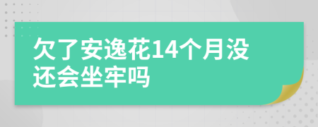 欠了安逸花14个月没还会坐牢吗