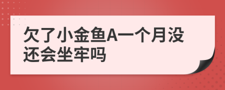 欠了小金鱼A一个月没还会坐牢吗