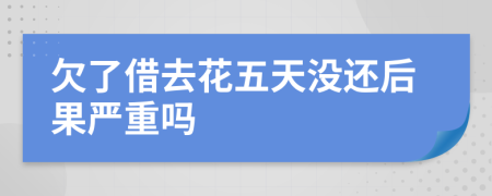 欠了借去花五天没还后果严重吗