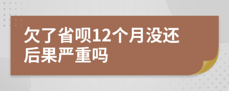 欠了省呗12个月没还后果严重吗