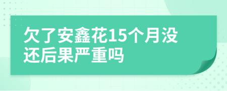 欠了安鑫花15个月没还后果严重吗