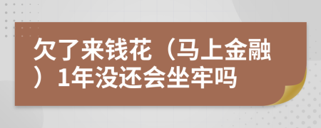 欠了来钱花（马上金融）1年没还会坐牢吗