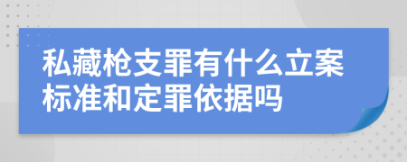 私藏枪支罪有什么立案标准和定罪依据吗