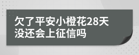 欠了平安小橙花28天没还会上征信吗