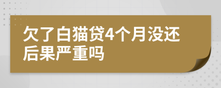 欠了白猫贷4个月没还后果严重吗