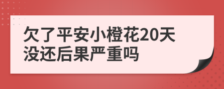 欠了平安小橙花20天没还后果严重吗