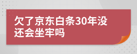 欠了京东白条30年没还会坐牢吗