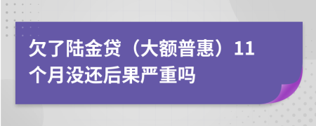 欠了陆金贷（大额普惠）11个月没还后果严重吗