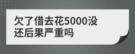 欠了借去花5000没还后果严重吗