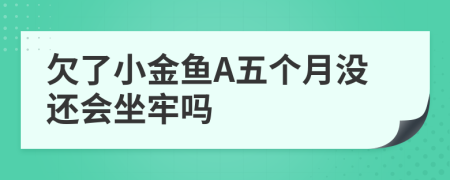 欠了小金鱼A五个月没还会坐牢吗