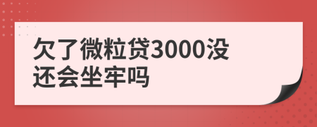 欠了微粒贷3000没还会坐牢吗