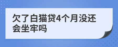 欠了白猫贷4个月没还会坐牢吗