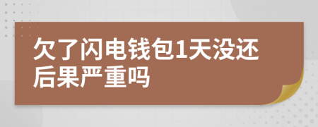 欠了闪电钱包1天没还后果严重吗