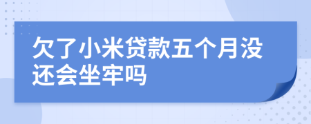 欠了小米贷款五个月没还会坐牢吗