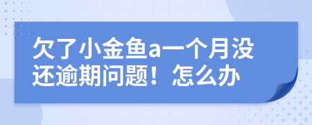 欠了小金鱼a一个月没还逾期问题！怎么办