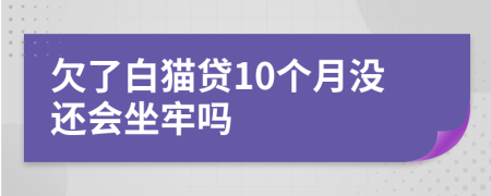 欠了白猫贷10个月没还会坐牢吗