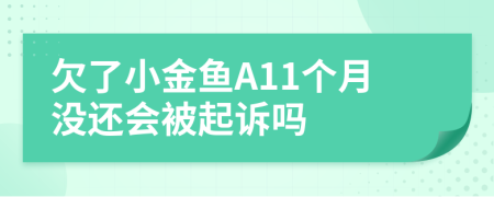 欠了小金鱼A11个月没还会被起诉吗