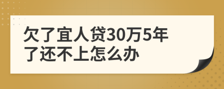 欠了宜人贷30万5年了还不上怎么办