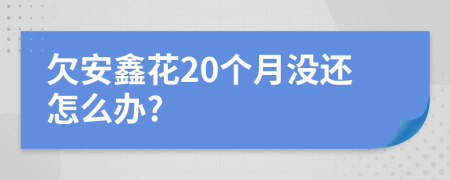 欠安鑫花20个月没还怎么办?