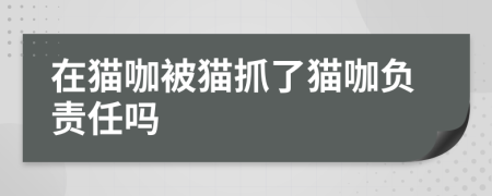 在猫咖被猫抓了猫咖负责任吗