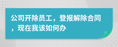 公司开除员工，登报解除合同，现在我该如何办