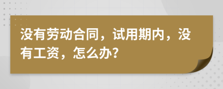 没有劳动合同，试用期内，没有工资，怎么办？