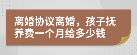 离婚协议离婚，孩子抚养费一个月给多少钱