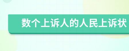 数个上诉人的人民上诉状