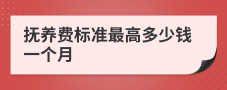 抚养费标准最高多少钱一个月