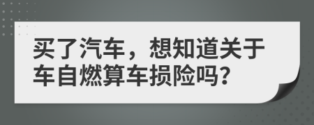 买了汽车，想知道关于车自燃算车损险吗？