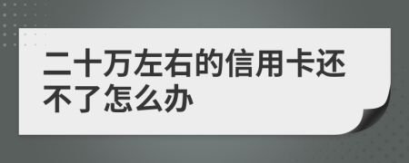 二十万左右的信用卡还不了怎么办
