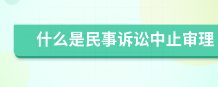 什么是民事诉讼中止审理