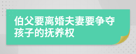 伯父要离婚夫妻要争夺孩子的抚养权