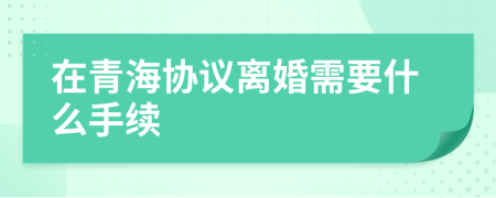 在青海协议离婚需要什么手续