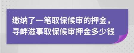 缴纳了一笔取保候审的押金，寻衅滋事取保候审押金多少钱