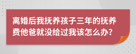 离婚后我抚养孩子三年的抚养费他爸就没给过我该怎么办？