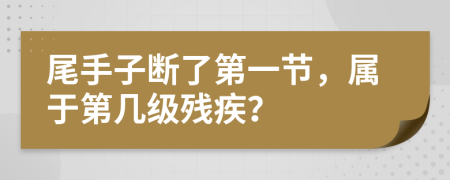 尾手子断了第一节，属于第几级残疾？