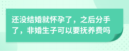 还没结婚就怀孕了，之后分手了，非婚生子可以要抚养费吗