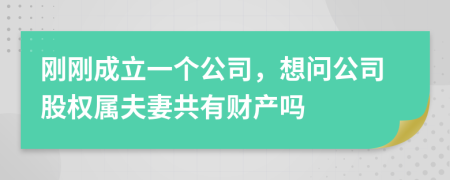 刚刚成立一个公司，想问公司股权属夫妻共有财产吗