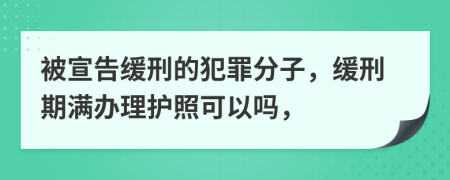 被宣告缓刑的犯罪分子，缓刑期满办理护照可以吗，