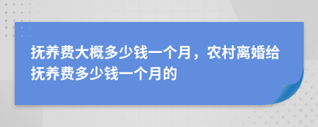 抚养费大概多少钱一个月，农村离婚给抚养费多少钱一个月的