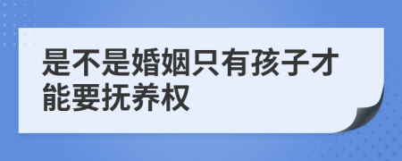 是不是婚姻只有孩子才能要抚养权