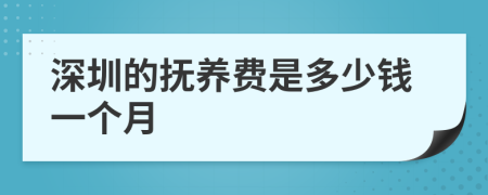 深圳的抚养费是多少钱一个月