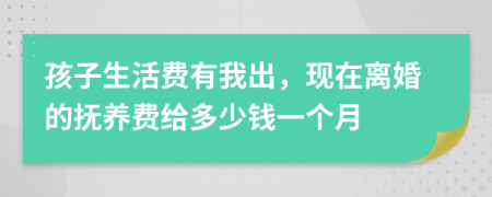 孩子生活费有我出，现在离婚的抚养费给多少钱一个月