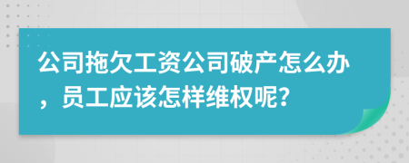 公司拖欠工资公司破产怎么办，员工应该怎样维权呢？