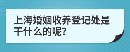 上海婚姻收养登记处是干什么的呢？