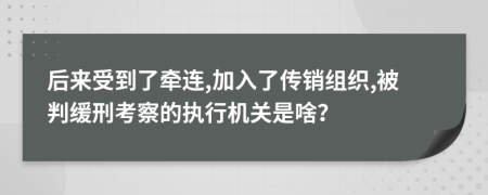 后来受到了牵连,加入了传销组织,被判缓刑考察的执行机关是啥？