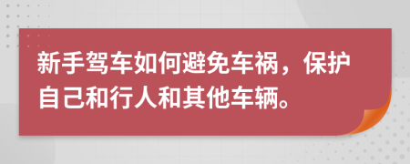 新手驾车如何避免车祸，保护自己和行人和其他车辆。